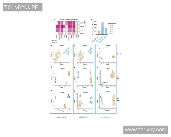 南京篮球队团队协作表现的数据分析与提升策略探讨