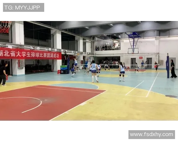 武汉排球队个人能力分析与发展潜力探讨