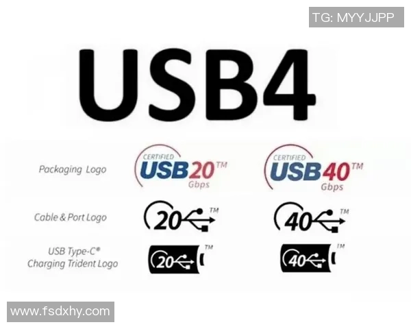 深圳排球队以超高速度领跑最新排球速度TOP10榜单引发热议